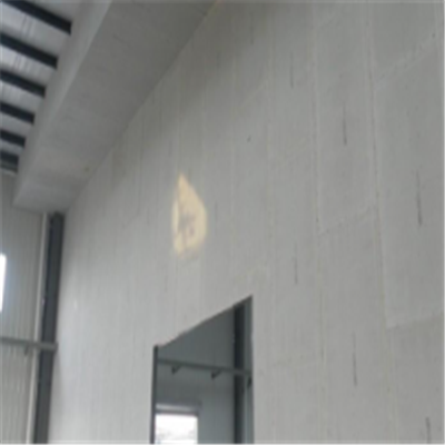 清新宁波ALC板|EPS加气板隔墙与混凝土整浇联接的实验研讨